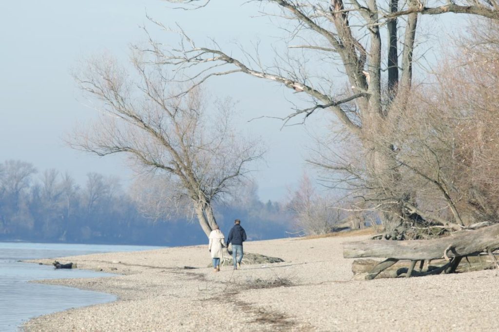 Duna-part, fák, sétáló emberek