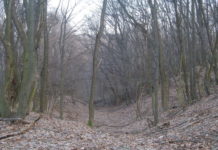 Dunakeszi nevezetességei – Csörsz árka