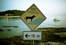 Dunakeszi Rév kutyabarát strand