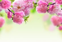 Mutasd a balkonod, megmondom, ki vagy!