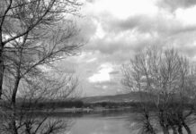 Amit még nem tudtál a dunakeszi révről