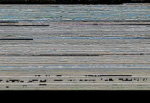 Beszkennelte a világ negyedét