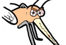 Újabb szúnyoggyérítés Dunakeszin