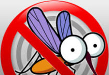 Szúnyogirtás Dunakeszin!