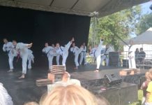 Taekwando a Dunakeszifeszten