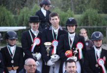 Tarol a Dunakeszi lovas klub