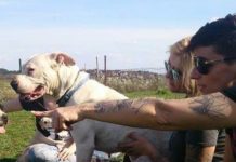 Egy dunakeszi nő, aki életeket ment