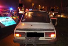 A dunakeszi rendőrök elkapták a malactolvajokat