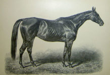 Kincsem, a dunakeszi sportreptér, Zsengellér Gyula és Gál József a Pest Megyei Értéktárban