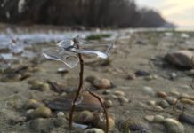 Rendhagyó télbúcsúztató: legyen képe hozzá!