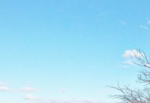 Ezek a legszebb képek Dunakesziről