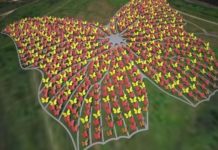 Pillangókból energiát…?!