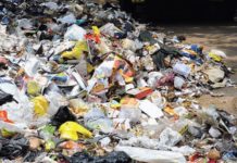 Tisztítsuk meg Dunakeszit – V. Köztisztasági Nap