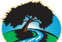 Sikerült megakadályozni a Duna-parti fasor egyidejű kivágását