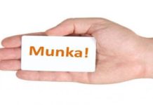 Munkanélküliek figyelem! – Segédmunkás munkakört hirdet a Dunakeszi Polgármesteri Hivatal