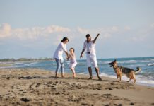 Ebzárlat és legeltetési tilalom Dunakeszin