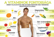 Sport és a vitaminok általános szerepe