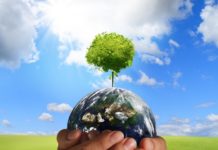 Környezetvédelmi program indul Dunakeszin