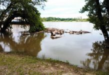 Fenyegeti árvíz Dunakeszit? Nem kell izguljon!