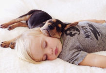 Keresik Dunakeszi legidősebb kutyáját