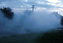 Lesz még egy szúnyogirtás