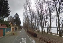 Tömeges fakivágás helyett észszerű fiatalítás a Duna-parti sétánynál