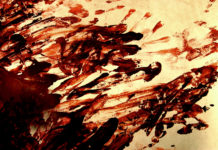 Véres verekedés egy dunakeszi sörözőben