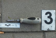 Budapestről jöttek Dunakeszire lopni