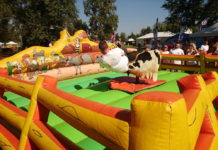 Így lesz valaki fél évig bajnok a Dunakeszi Feszten