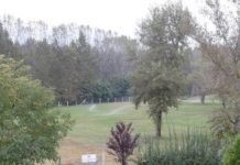 Esőben is locsolnak. Megvan az oka