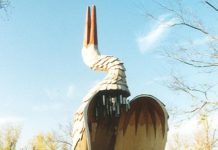 Meg fog lepődni, mi mindent nem tudott a dunakeszi Gólyáról!