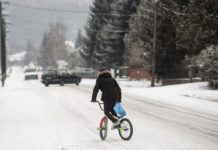 Korlátozzák a teherautók forgalmát az M2-en