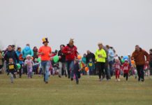 A Futakeszit sem rendezik meg az idén