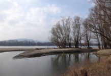 Ezt túlélték! Két napig a Duna-szigeten rekedtek