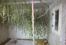 A plafonról is kábítószer lógott – videó