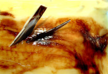 Híres dunakesziek lesznek a tortazsűri tagjai