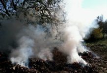 Figyelmeztetés a háztartási szemetet égetőknek