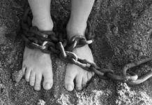 Dunakeszi mellett feküdt az elrabolt, megvert, megkötözött férfi