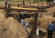 Elbocsájtottak egy gépkezelőt a védett madarak ügyében