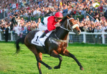 Overdose csütörtökön hazatér végső nyughelyére