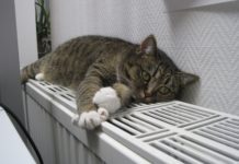 Melegebb lehet idén a távfűtött lakásokban