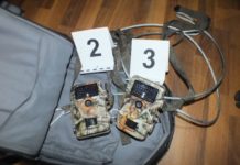 Tilosban járt a testvárpár, lecsaptak a dunakeszi rendőrök