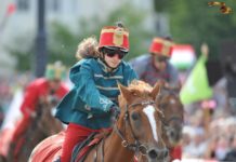 Micsoda pech, lesérült Niki lova