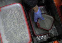 Videó a gyors kábítószerfogásról