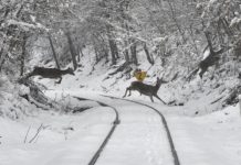 Ha most nincs téli gumija, akkor nagy a baj