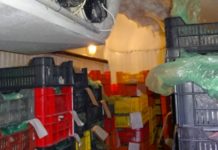 Lecsapott a NÉBIH egy dunakeszi konyhaüzemre