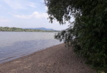 Tényleg lesz meccsnézés a dunai szabad strandon