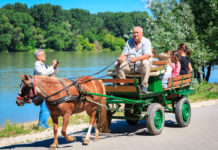 Július 6-án indul a városi nyári tábor