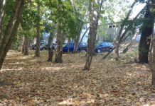 Autók a strandon, de miért?