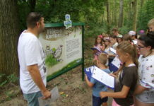 Tanösvény a Duna-parton